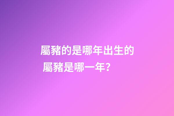 屬豬的是哪年出生的 屬豬是哪一年？-第1張-觀點-玄機派